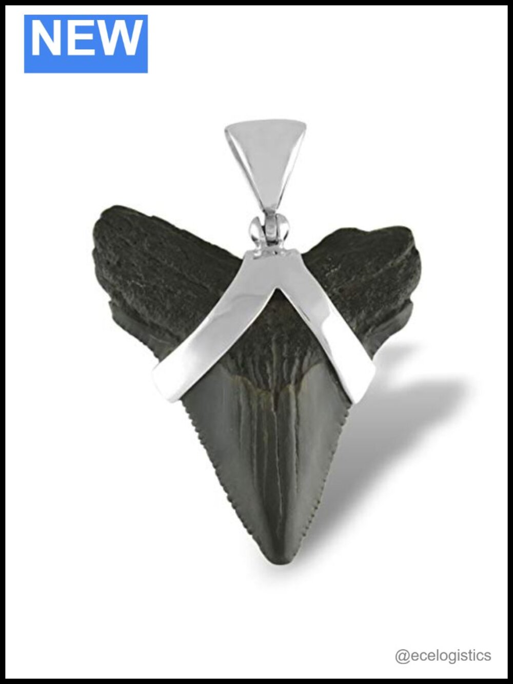 Fossil Shark Tooth Pendant Sterling Silver Hinged Bale Unisex